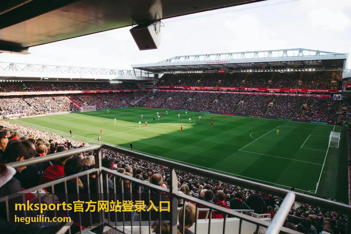 mksports官方网站登录入口的账号安全设置配图