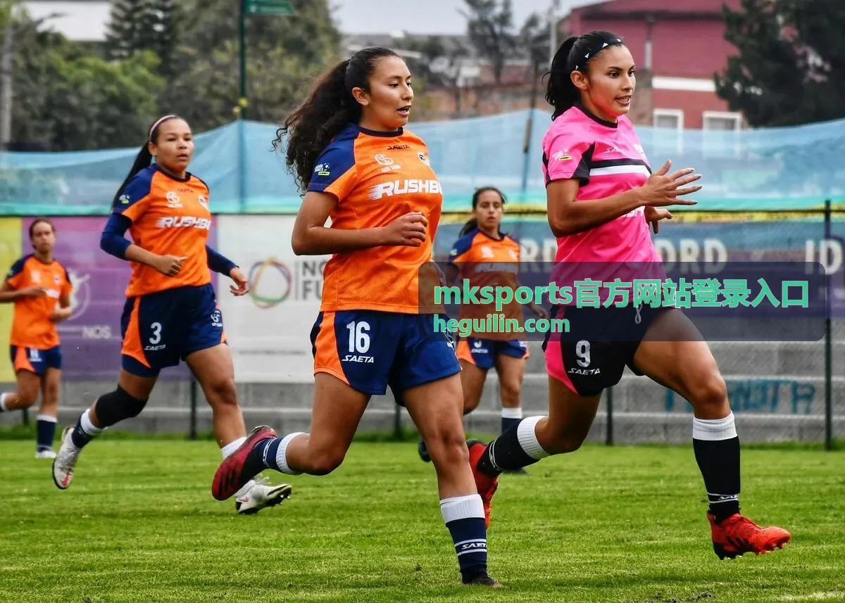 mksports官方网站登录入口的操作流程配图