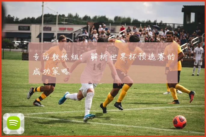 专访教练组：解析世界杯预选赛的成功策略