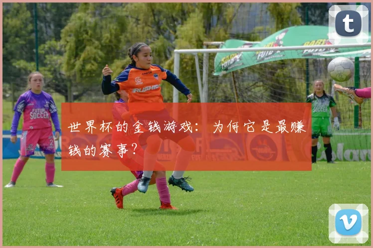 世界杯的金钱游戏:为何它是最赚钱的赛事?