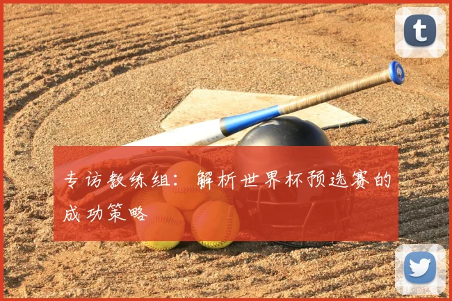 专访教练组：解析世界杯预选赛的成功策略