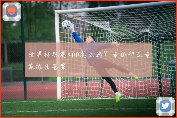世界杯观赛app怎么选?专访行业专家给出答案