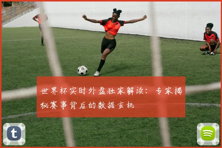世界杯实时外盘独家解读:专家揭秘赛事背后的数据玄机