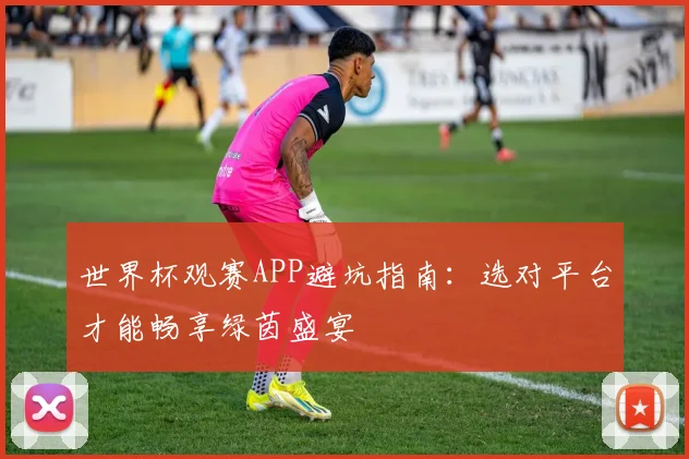 世界杯观赛APP避坑指南：选对平台才能畅享绿茵盛宴