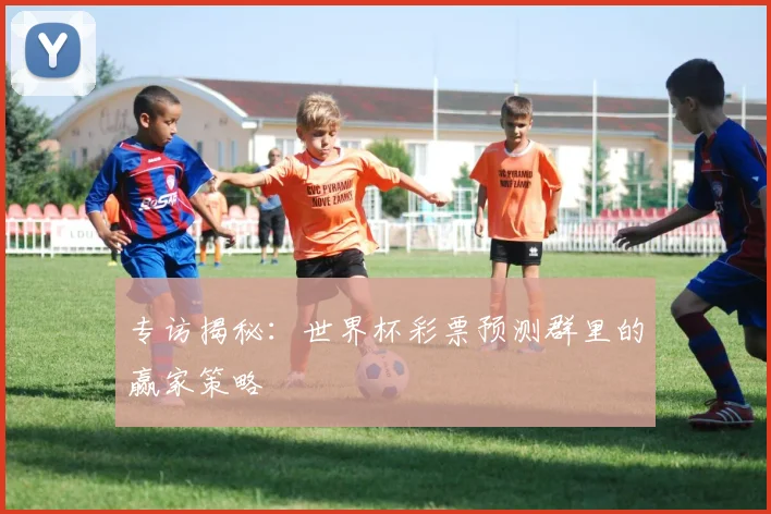 专访揭秘:世界杯彩票预测群里的赢家策略