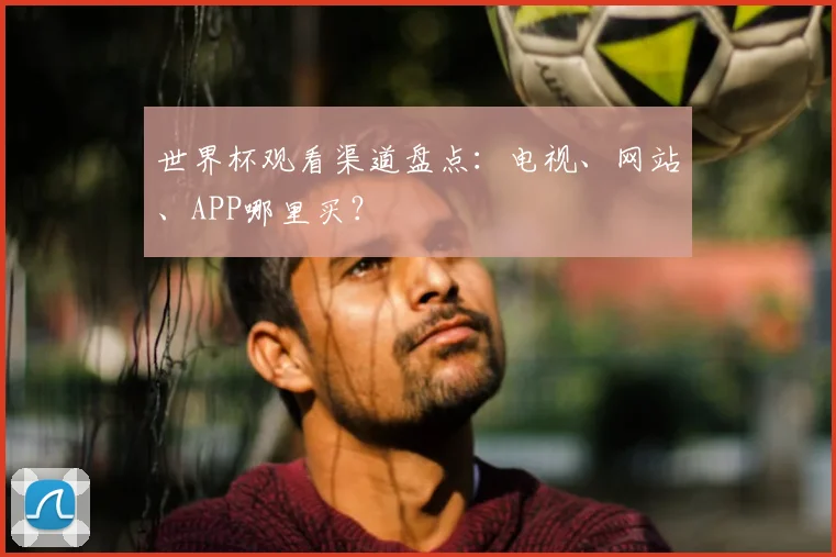 世界杯观看渠道盘点:电视、网站、APP哪里买?