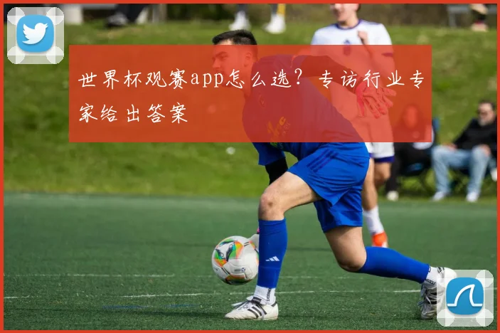 世界杯观赛app怎么选?专访行业专家给出答案