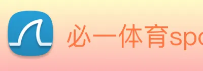 必一体育sport的数据加密措施 Logo